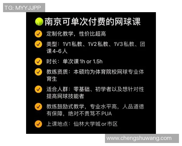 南京网球队个人能力深度对比分析与发展潜力探讨