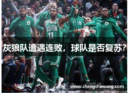 灰狼队遭遇连败，球队是否复苏？