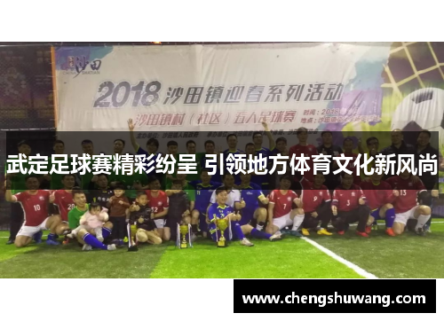 武定足球赛精彩纷呈 引领地方体育文化新风尚
