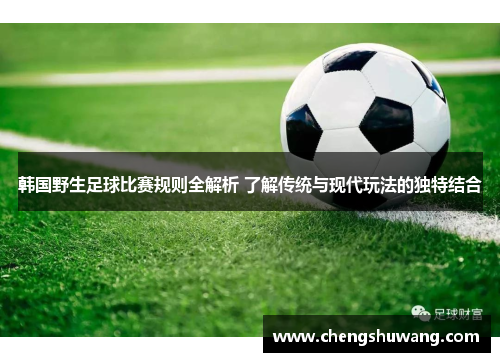 韩国野生足球比赛规则全解析 了解传统与现代玩法的独特结合